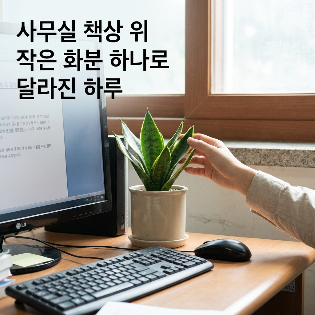 사무실 책상 위 작은 화분 하나로 달라진 하루