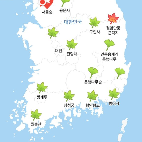 카카오맵 이런 기능이? 2026 단풍 지도 이용 방법과 단풍 명소 찾기