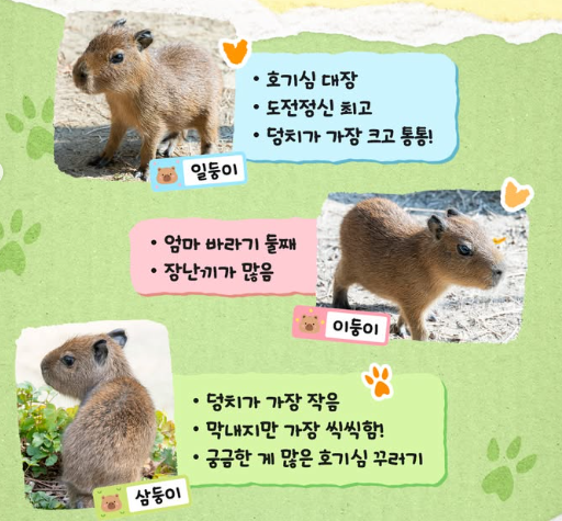 생성된 이미지